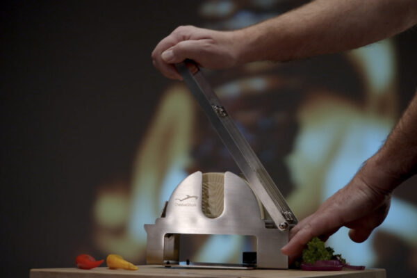 CHEESE SHARK CHEESE SHARK